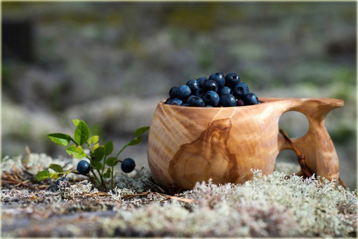 Borówka Blueberry doniczkowa