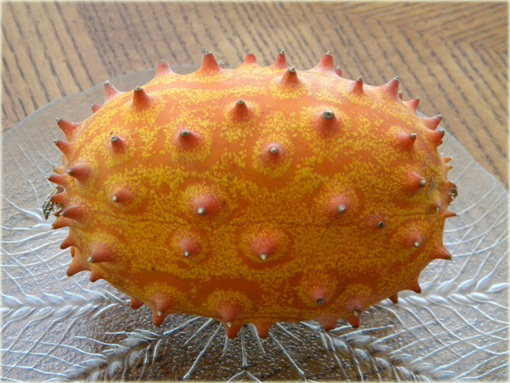 Melon Rogaty, Melano, Kiwano Cucumis metulifer