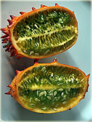 Melon Rogaty, Melano, Kiwano Cucumis metulifer
