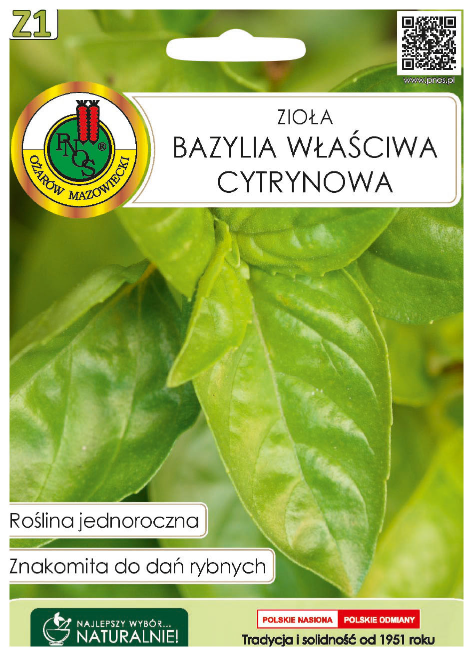 Bazylia właściwa cytrynowa to roślina jednoroczna, uprawiana z rozsady lub z siewu wprost do gruntu nawet na domowym parapecie.