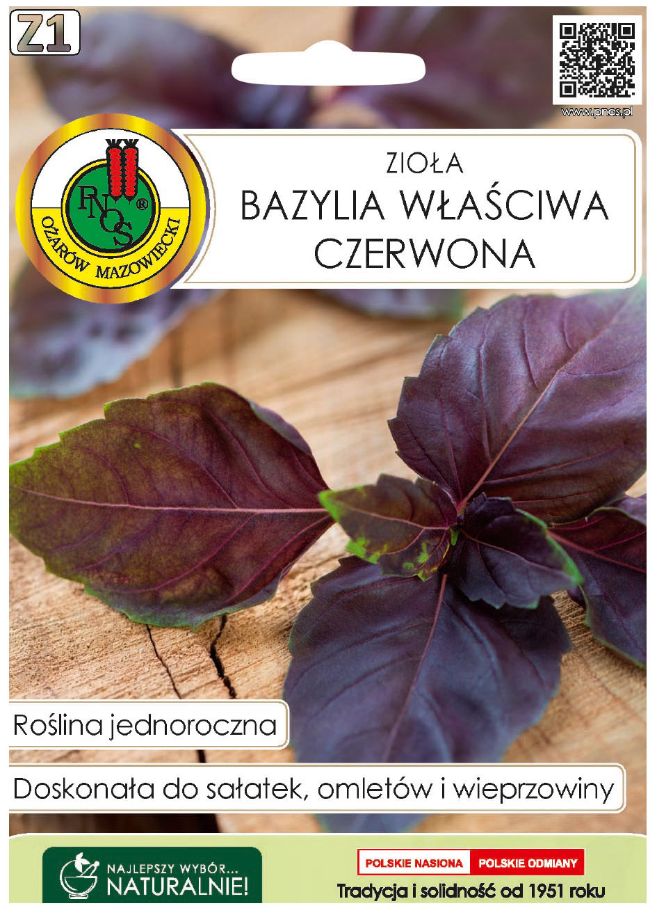 Bazylia właściwa czerwona to roślina jednoroczna, uprawiana z rozsady lub z siewu wprost do gruntu nawet na domowym parapecie.