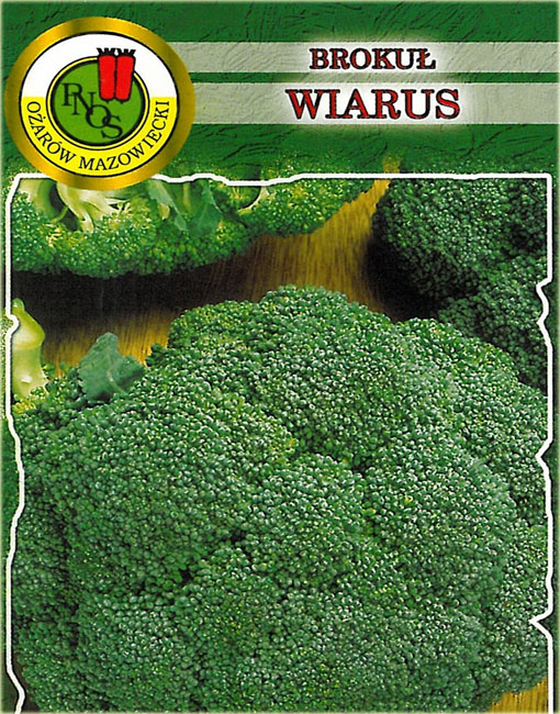 Brokuł Wiarus roślina przeznaczona do uprawy wiosennej i jesiennej, plenna. Odmiana o krótkim czasie wegetacji...