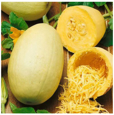 Dynia makaronowa Pyza to owoce średniej wielkości, o kształcie eliptycznym, gładkie. Barwa skórki dojrzałego owocu żółtopomarańczowa z delikatną, żółtą mozaiką.