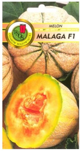 Melon malaga to odmiana wczesna roślina polowa w typie cantaloup, silnie rosnąca o wysokiej tolerancji wobec mączniaka rzekomego.