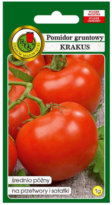 Pomidor Krakus to odmiana średnio późna.