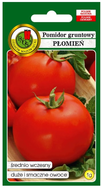 Pomidor Płomień to odmiana średnio wczesna.