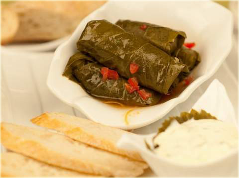 Winorośl amurska Vitis amurensis