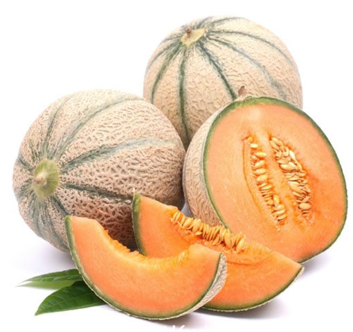 nasiona owoców Melon Malaga F1, Cucumis melo