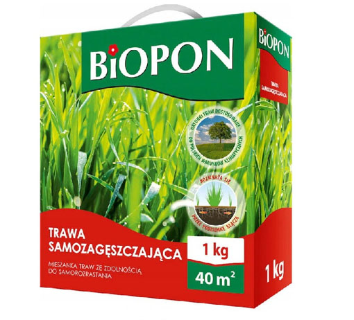 Trawa samozagęszczająca 1kg Biopon to mieszanka zwierając w składzie aż trzy odmiany trawy rozłogowej, które mają zdolność do samoistnego