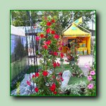 [Click to enlarge image]