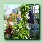 [Click to enlarge image]