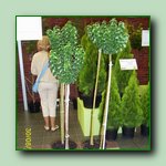 [Click to enlarge image]