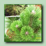 [Click to enlarge image]