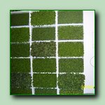 [Click to enlarge image]