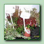 [Click to enlarge image]