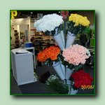 [Click to enlarge image]