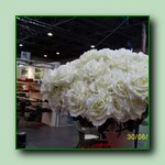 [Click to enlarge image]