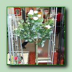 [Click to enlarge image]