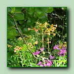 [Click to enlarge image]