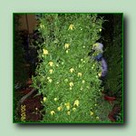 [Click to enlarge image]