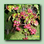 [Click to enlarge image]