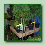 [Click to enlarge image]