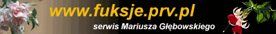 Wszystko o fuksjach...
