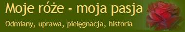 Kliknij aby przejść do Moje róże - moja pasja