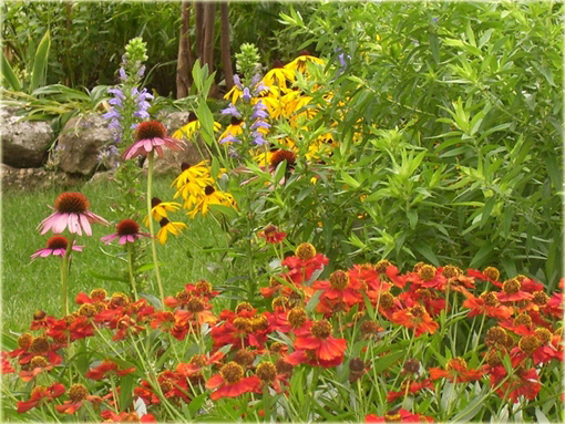 Dzielżan Helena Red Shades