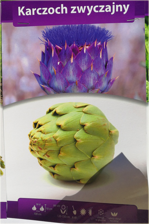 Karczoch zwyczajny Cynara scolymus