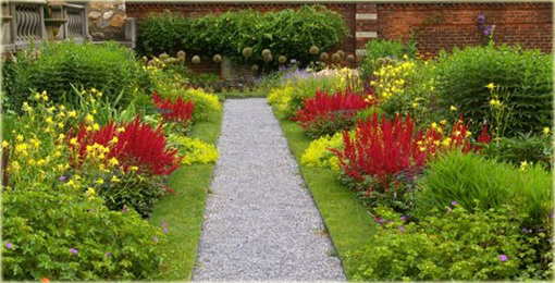 Tawułka Younique Carmine Astilbe arendsii