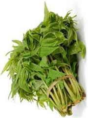 Drzewo warzywne, Cedrela,  Cedrówka chińska Toona sinensis