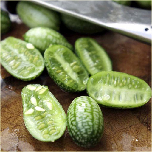 Arbuz MINI Kukamelon Cucamelon