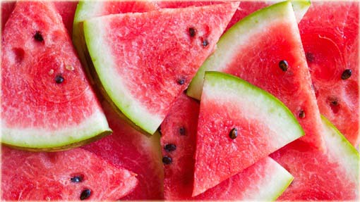 Arbuz ogrodowy Citrullus lanatus