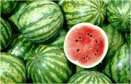 Arbuz ogrodowy Citrullus lanatus