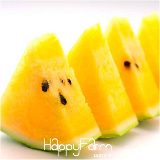 Arbuz żółty duży, kawon Citrullus lanatus