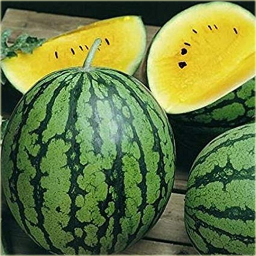 Arbuz żółty duży, kawon Citrullus lanatus