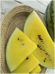 Arbuz żółty duży, kawon Citrullus lanatus
