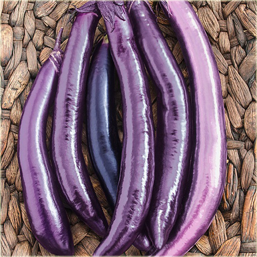 Bakłażan długi Wąż