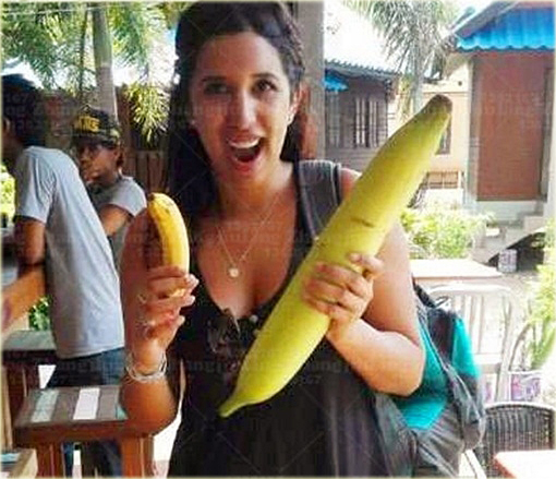 Banan Gigant