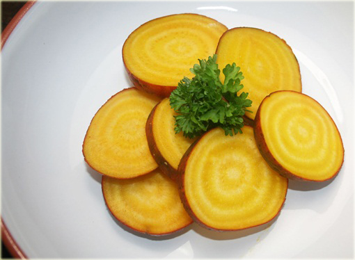 Burak żółty jadalny smaczny