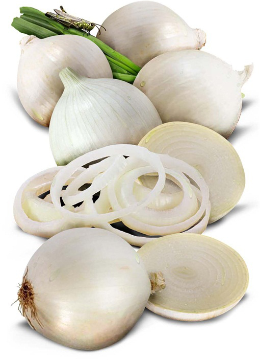 Cebula biała słodka hiszpańska bez GMO