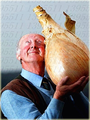 Cebula gigant bez GMO