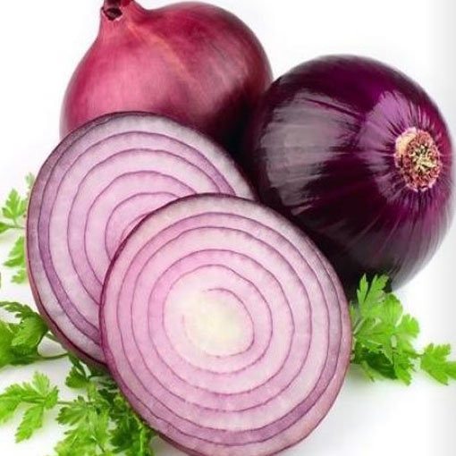 Cebulka czerwona wczesna, Allium cepa