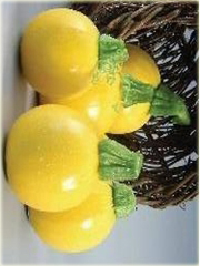Cukinia okrągła Kim, kabaczek okragły żółty
