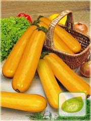 Cukinia żółta Goldena