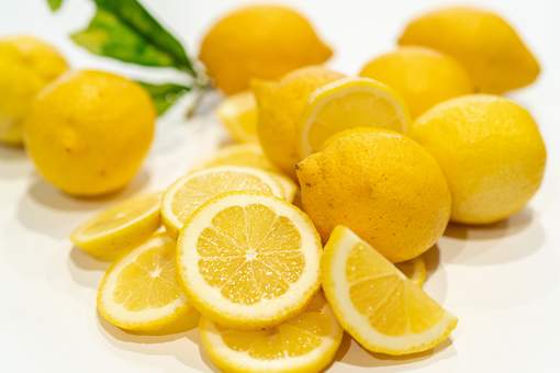 Cytryna drzewko mini Citrus limon