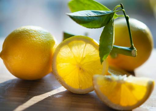 Cytryna drzewko mini Citrus limon