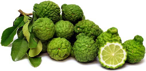 Cytryna karbowana Kaffir Lime