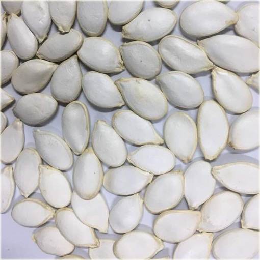 Dynia biała Jinan z Japonii jadalna